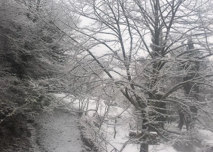 La Casa Del Tiglio *